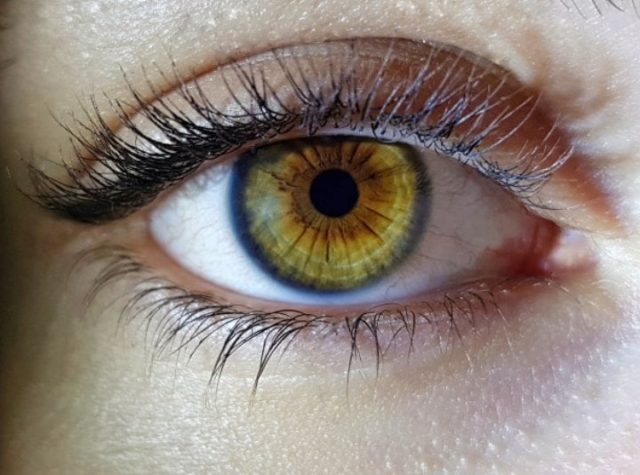 Храната што ја јадете може да ја промени бојата на очите