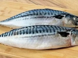 СКУША ОД РЕРНА: Турски рецепт кој сите ги воодушеви…ЕВЕ ВАКА се приготвува највкусната риба!