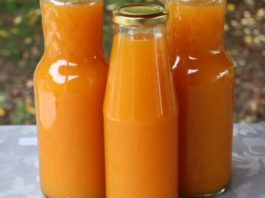Домашен сок од морков и јаболко, енергетски напиток…Поздрав избор отколку купечкиот…