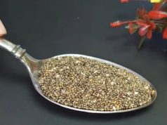 Не знаев колку е моќно ова семе…1 лажица и сега трчам како тинејџерка со рамен стомак и вита става