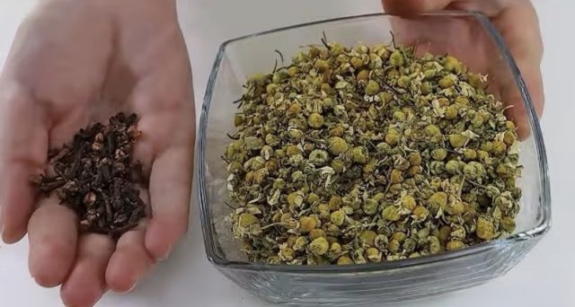 камилица и каранфилче