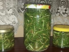 РУЗМАРИН ВО ЈАБОЛКОВ ОЦЕТ… Комбинација против стареење, ретко кој се сеќава на оваа магија