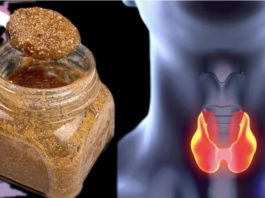 Секоја лажица од оваа мешавина е многу моќна! Тироидната жлезда се враќа во нормала