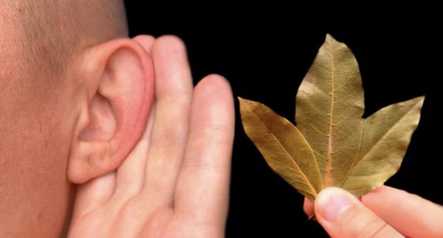 чај од ловоров лист