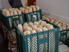 Сите нутриционисти имаат ист победник: Ова е најдобриот леб за притисокот