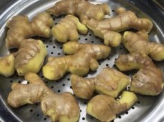 Динстан ѓумбир: ритуал за виталност што го практикувала 97-годишна баба