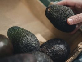 Сè повеќе луѓе во Македонија купуваат авокадо: Еве што му се случува на телото ако го јадете секој ден