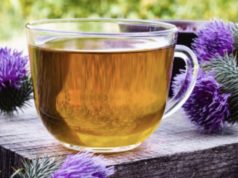 Млечен трн – билката што со векови се користи за помош на црниот дроб