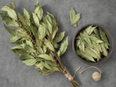 Ставете ловор и сода бикарбона во тегла: Евтин трик што помага против непријатни мириси