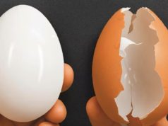 Најдобар начин за варење јајца – лушпата излегува во еден потег (професионален трик)