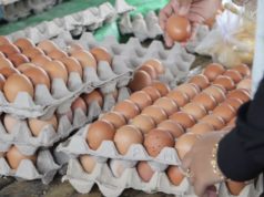 Колку дена пред Велигден ги купувате јајцата? Одговорот ќе ве изненади Купување јајца за Велигден