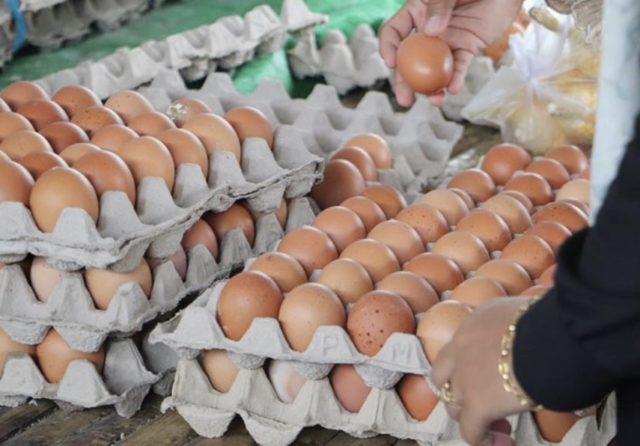 Купување јајца за Велигден