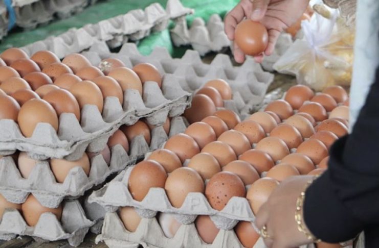 Купување јајца за Велигден