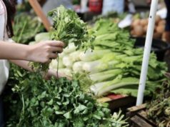 Ова е најздравиот зеленчук на светот, научниците го прогласија за број 1 – а кај нас речиси никој не го јаде зелен пазар