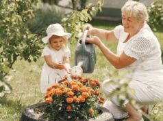 Природна убавина без многу грижа: Овие 7 „бабини“ цвеќиња се хит во 2026 баба и внука