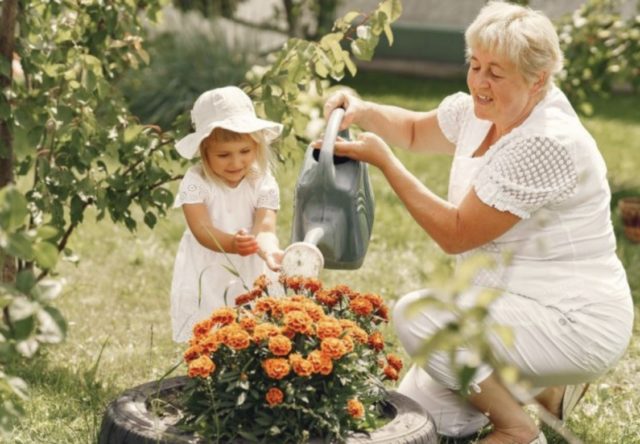 баба и внука