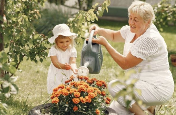 баба и внука