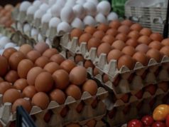 Дали има разлика меѓу белите и кафеавите јајца – и кои се најдобри за Велигден? јајца