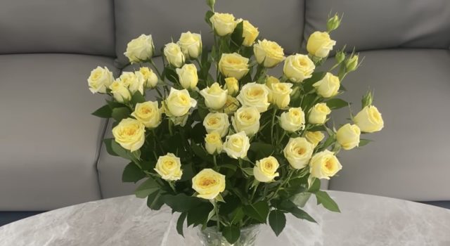 цвеќе, рози