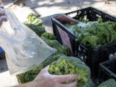 Брокулата и метаболизмот: Што велат експертите за нејзиното влијание врз шеќерот во крвта зелен пазар