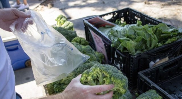 зелен пазар