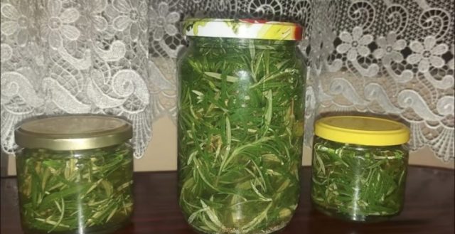 рузмарин во оцет