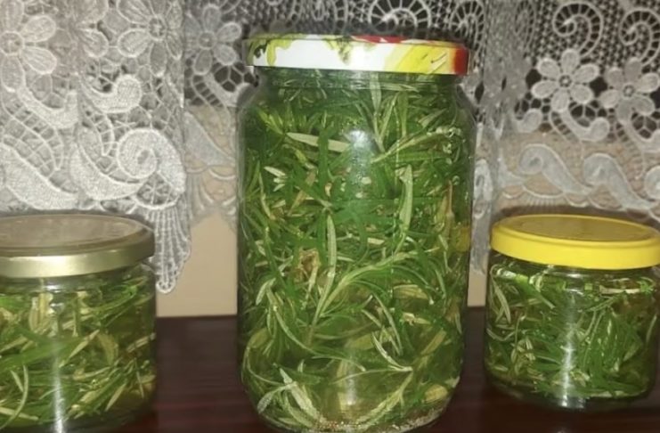 рузмарин во оцет